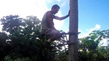 Climb in trees like a monkey : new amazing tool!