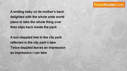 Sean Joyce - Christchurch