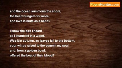 Martin A. Ramos - The Seasons, with Sparrows