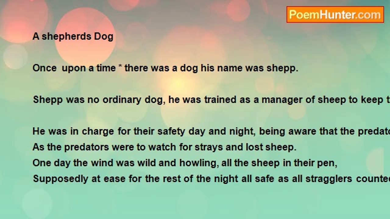 Charles Garcia - A Shepherds Dog