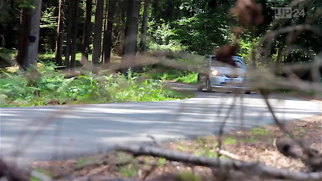 Ist Erdgas eine Alternative zum Hybrid- oder Elekroantrieb?