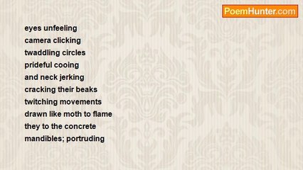 The Lake of Fire - Birds of a Feather That Crap Together