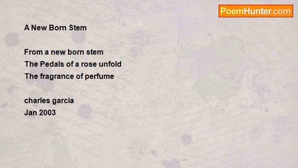 Charles Garcia - A new born Stem ~Haiku