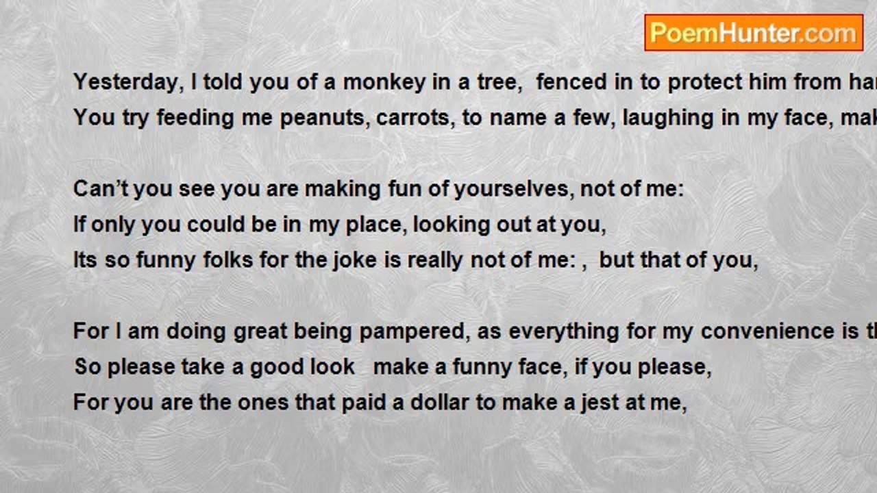 Charles Garcia - Monkey in a Tree
