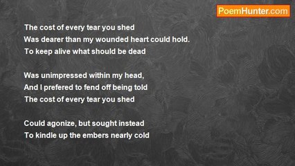 D A Phinney - The Cost Of Every Tear You Shed