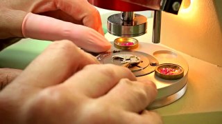 The Secrets of Watch makers