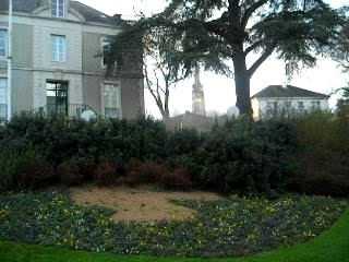 Bushjumping Julian: A Fun and Pleasant Experience 🌿