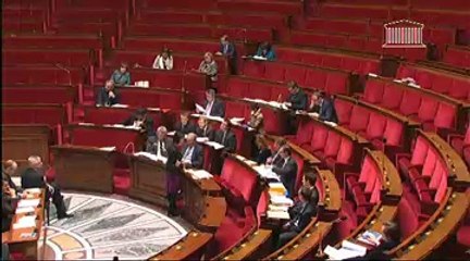PROJET DE LOI DE FINANCES POUR 2013 (nouvelle lecture) (suite)    - Vendredi 14 Décembre 2012