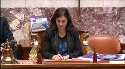 FONCTIONNEMENT DES SERVICES DE RENSEIGNEMENT DANS LE SUIVI ET LA SURVEILLANCE DES MOUVEMENTS RADICAUX ARMÉS - Mercredi 5 Décembre 2012