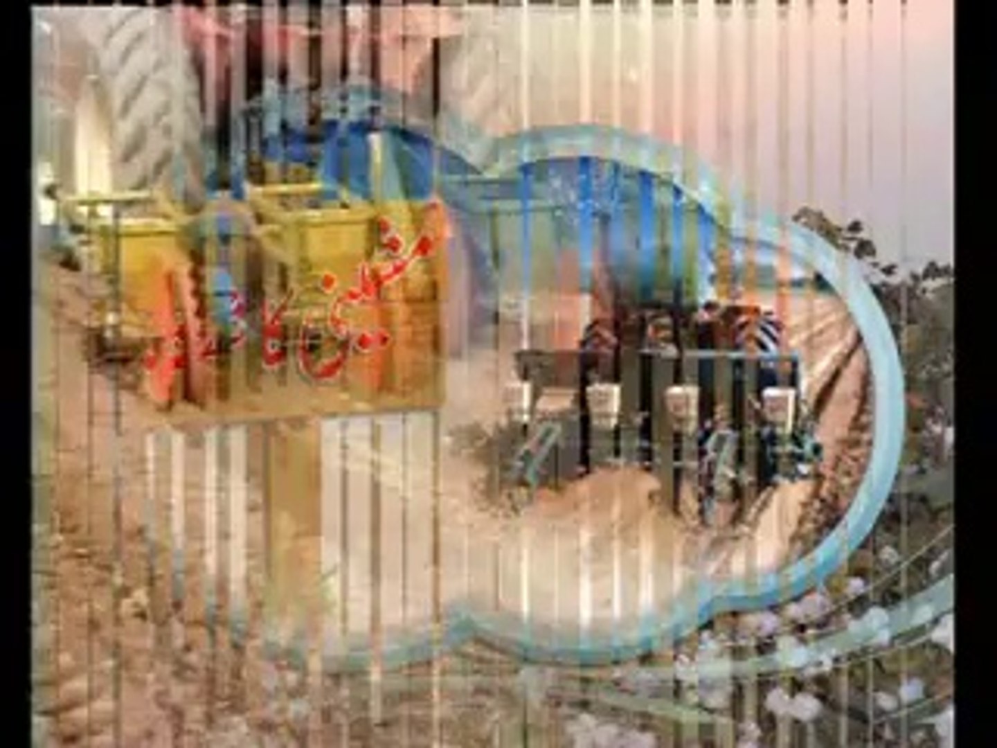 Cotton Documentary