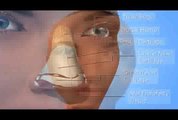 Rhinoplasty Nose Job Surgery