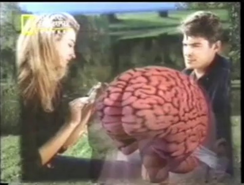 Anatomia de la memoria y falsos recuerdos