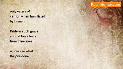 Uloia Norris Moore - Eyes Of A Hawk