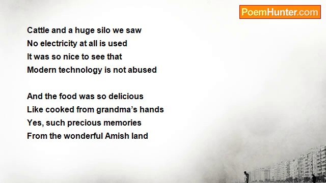 Marilyn Lott - Precious Amish Memories