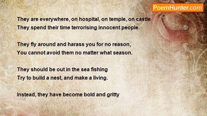 Vikram G. Aarella - The Cardiff Scavengers