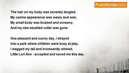 Joseph T. Renaldi - If I Could Only Talk