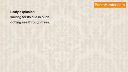 Ainsley Jo Phillips - 'Leafy explosion...'