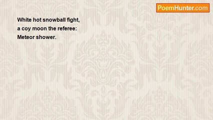 Sonny Rainshine - Shooting Star Haiku