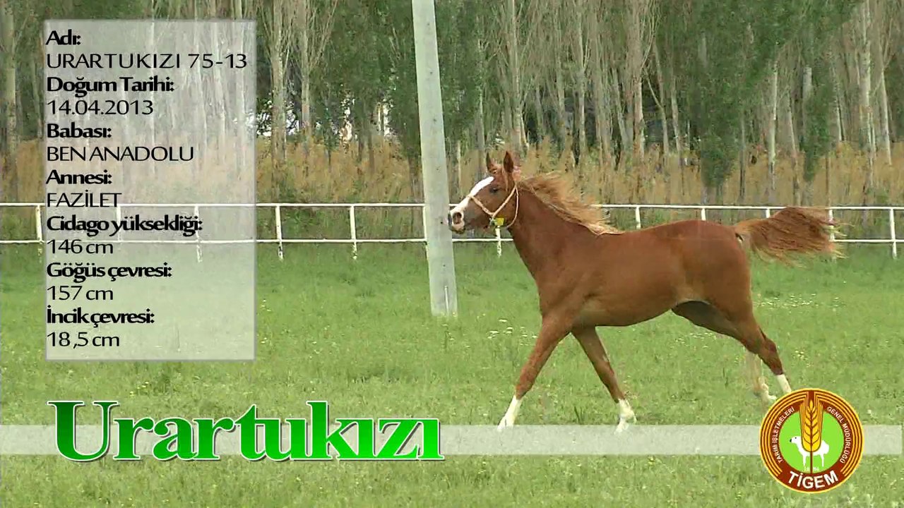 URARTUKIZI
