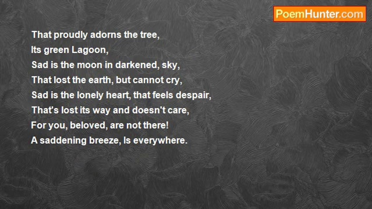 Sandra Feldman - Tristesse, Sadness