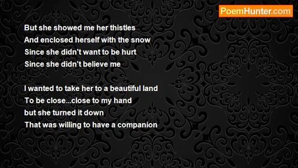 negar libre - My Eternal Flower