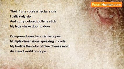 Sara Fielder - Mary Bell