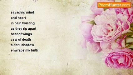 Liam ó Comáin - THE DARK SHADOW