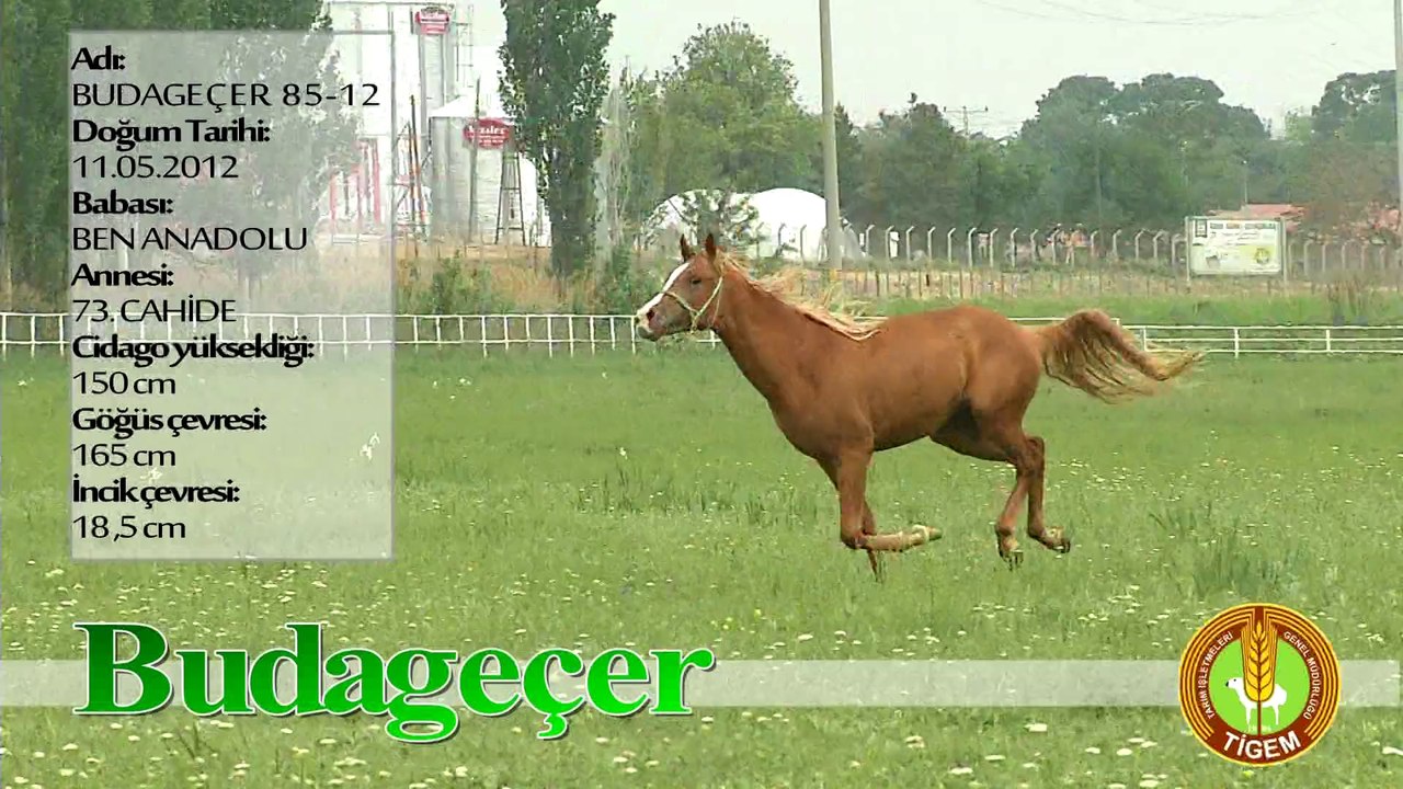 BUDAGEÇER