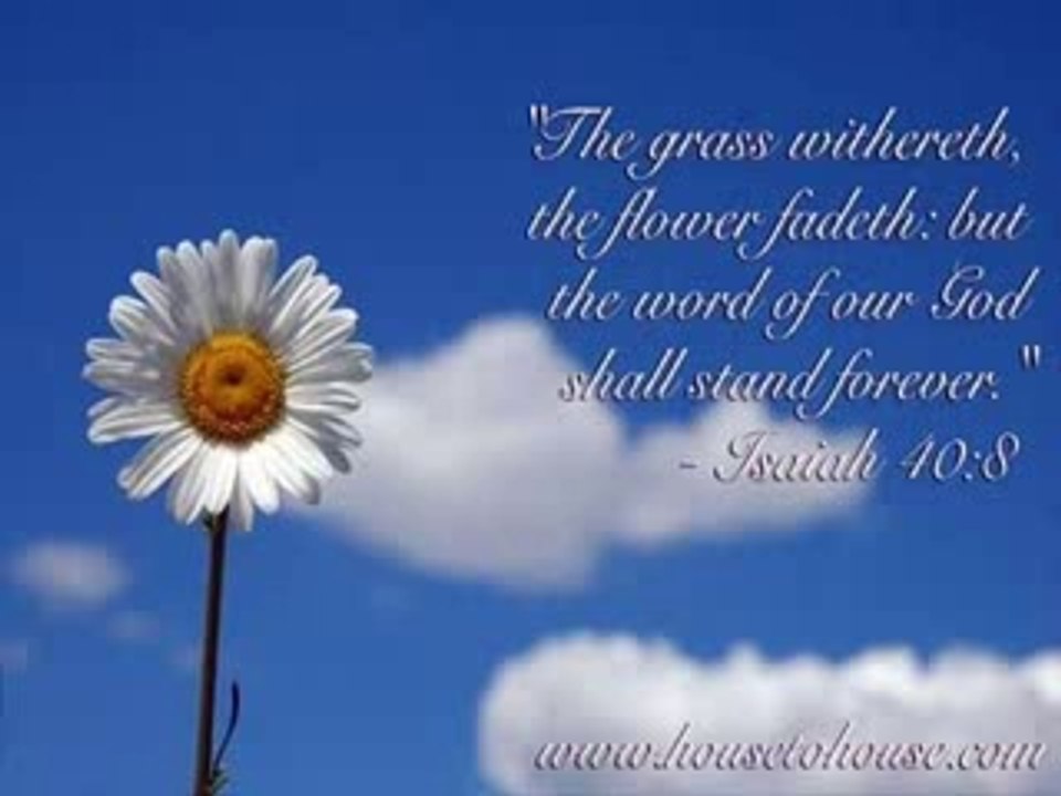 Ata Hoon Tere Hazoor by ERNEST MALL