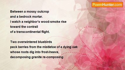 Taylor Graham - Listening Post