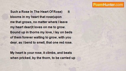 Is It Poetry - Such a Rose In The Heart Of Rose
