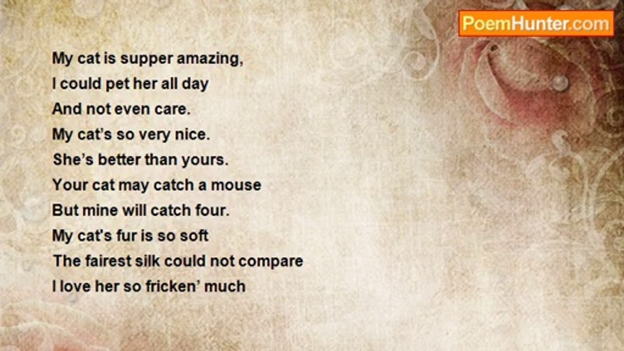 Donna Oliver - My Cat