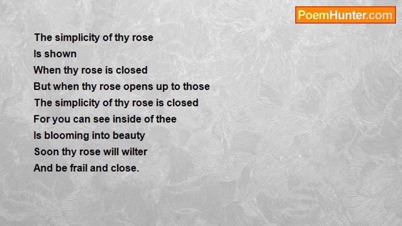 Paige Down - Closed Rose