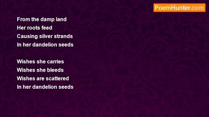 Whitney Albright - Dandelion Seeds