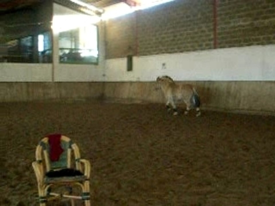 lou qui passe les barres au sol