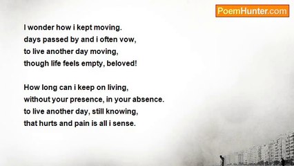 freedom writers - A Walk To Remember