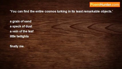 RIC S. BASTASA - szymborska 's miniature worlds