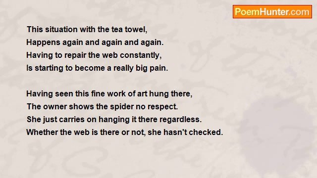 Angela Wybrow - The Orb Weaver Spider