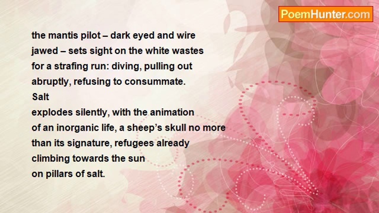 John Kinsella - Pillars Of Salt