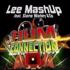 Lee Mashup Feat Stone Warley CO Hum Connection