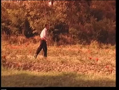 Beki Bekic - Seceru Moj