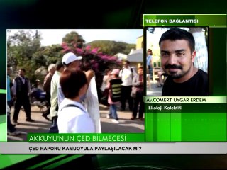 Akkuyu NGS'nin ÇED raporunun gizemi çözülüyor