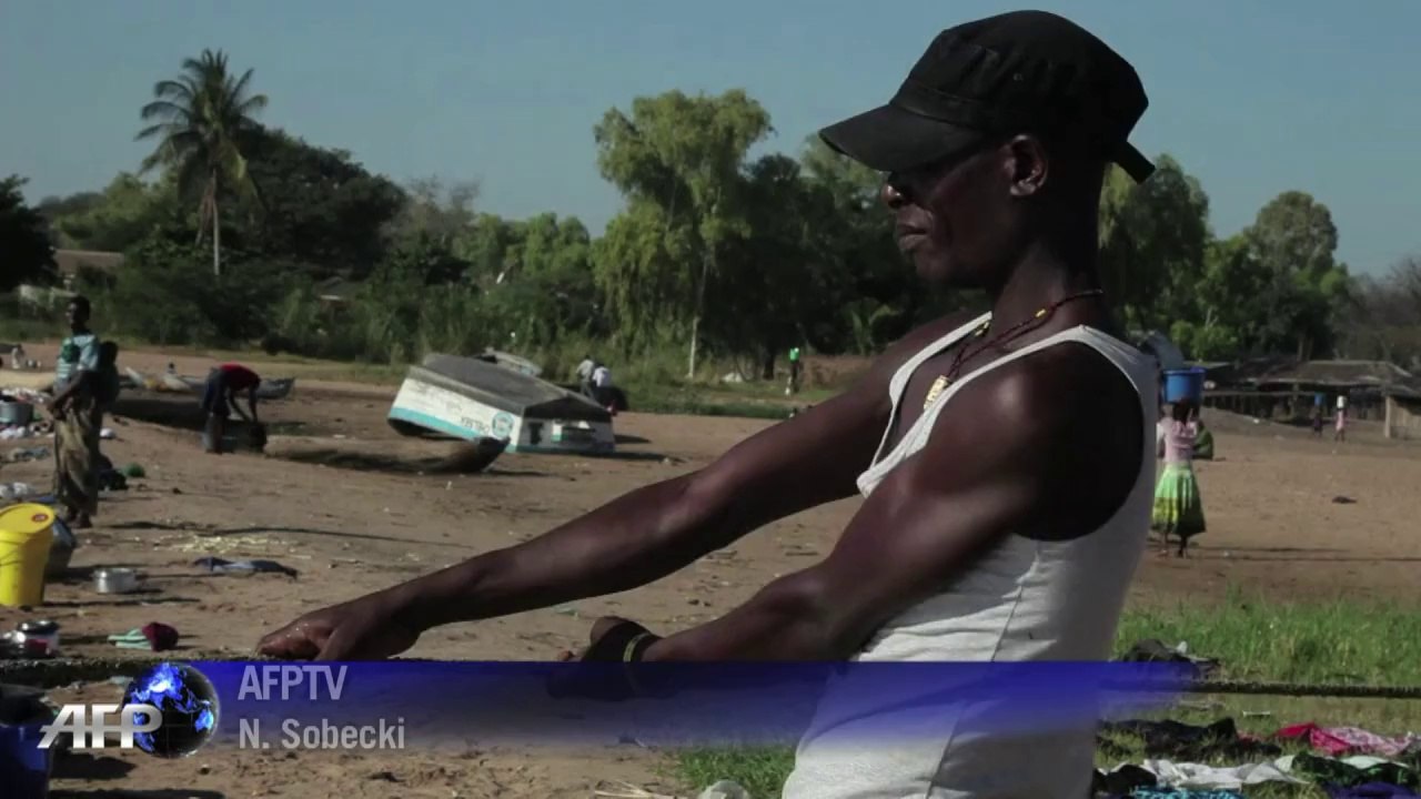 Malawi's fish stocks in sharp decline