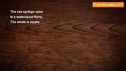 K. Jared Hosein - (Haiku)  An Awakening