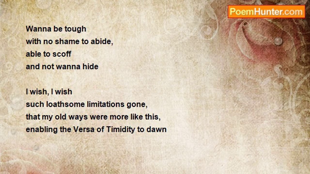 Sanne Fenright - Versa of Timidity