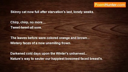 Michael Gale - Autumn's Beautiful Buffet Of Colours.