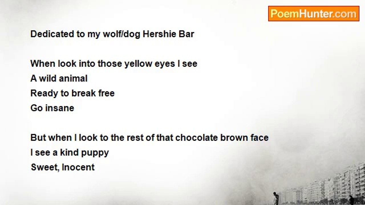 Jessie Li here - Wolf