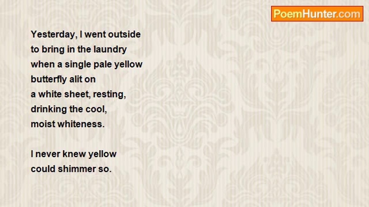 Sonny Rainshine - Yellow Epiphany