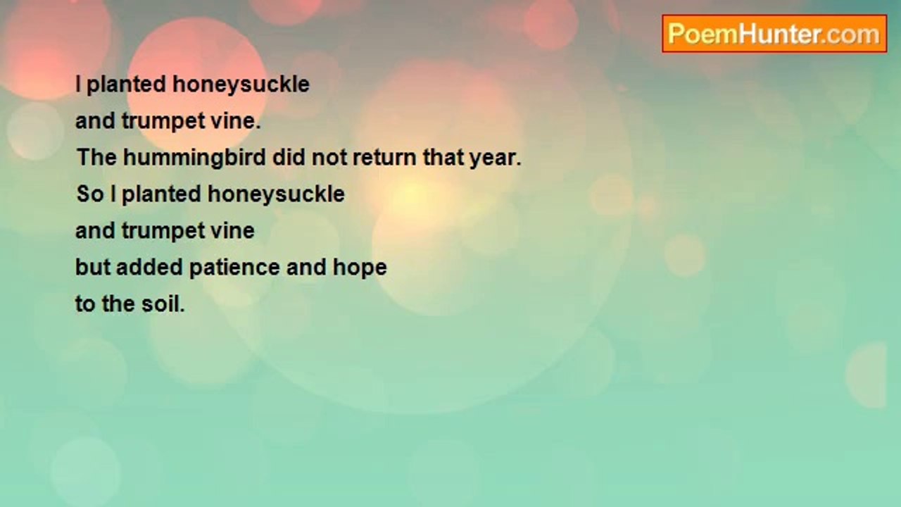 Sonny Rainshine - Soil Amendments