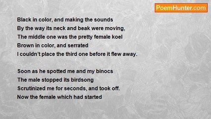 Daniel Trevelyn Joseph - Morning in Pune